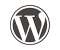 WordPress_5.9.3_中文正式版发布及优化代码