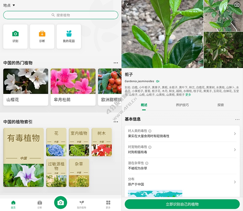 植物识别PictureThis v5.1.7 解锁版